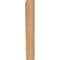 Ekena Millwork Traditional Traditional Smooth Bracket, Western Red Cedar, 5 1/2"W x 26"D x 38"H BKT06X26X38TRA01SWR - alternate 3